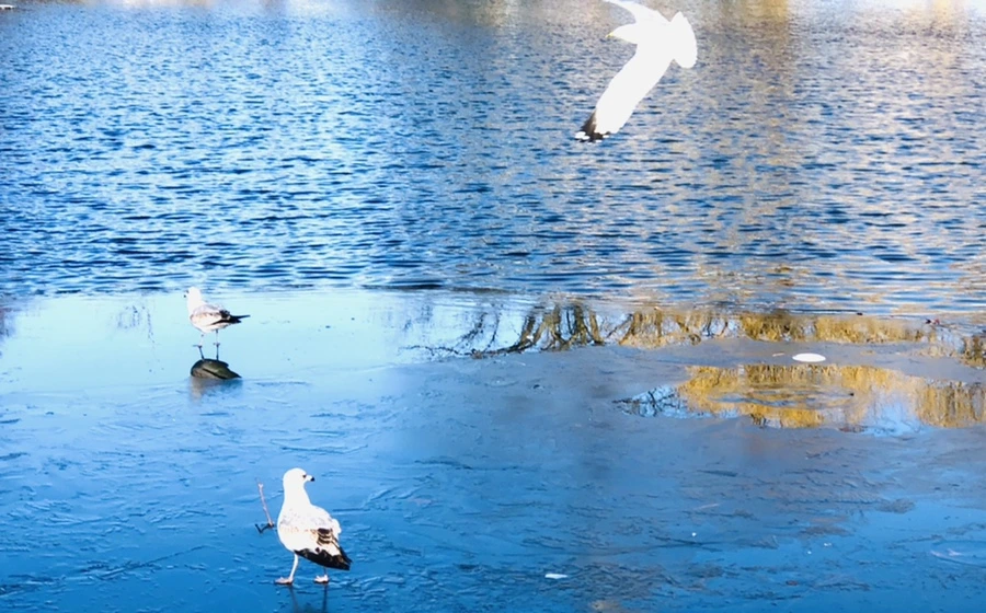 IMG_0522.jpg?type=w966