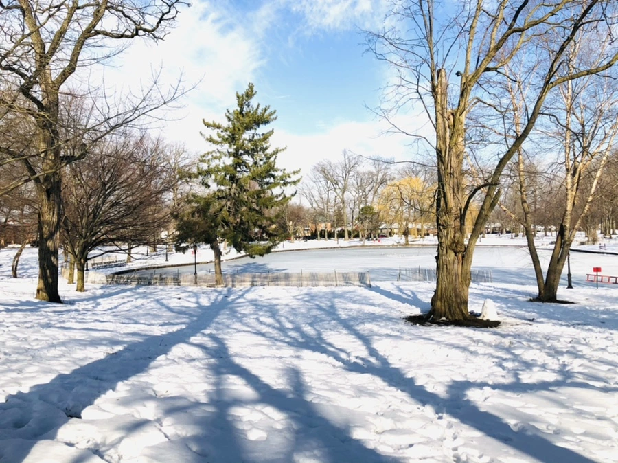 IMG_0366.jpg?type=w966