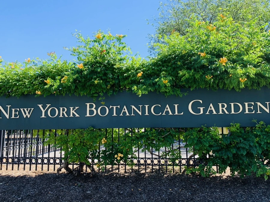 IMG_6530.jpg?type=w966