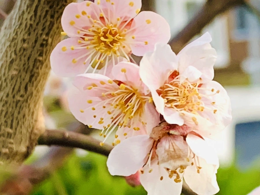 IMG_2870.jpg?type=w966