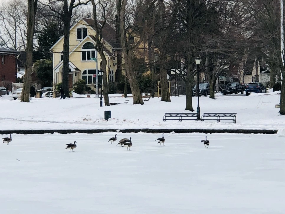 IMG_4470.jpg?type=w966