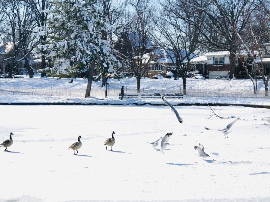 IMG_1323.jpg?type=w966