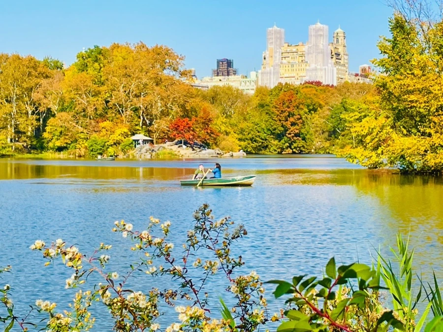 IMG_1669.jpg?type=w966