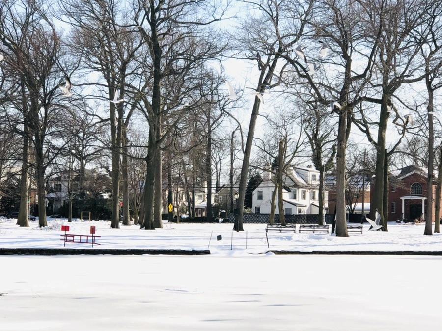 IMG_0289.jpg?type=w966