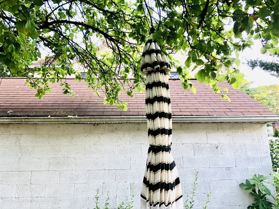 IMG_1101.jpg?type=w966