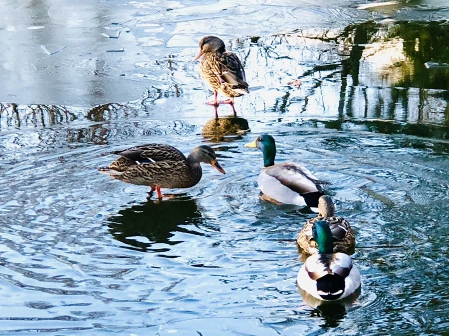 ZQb1_VCJtJvh_2p-C3-pqhNjcBY