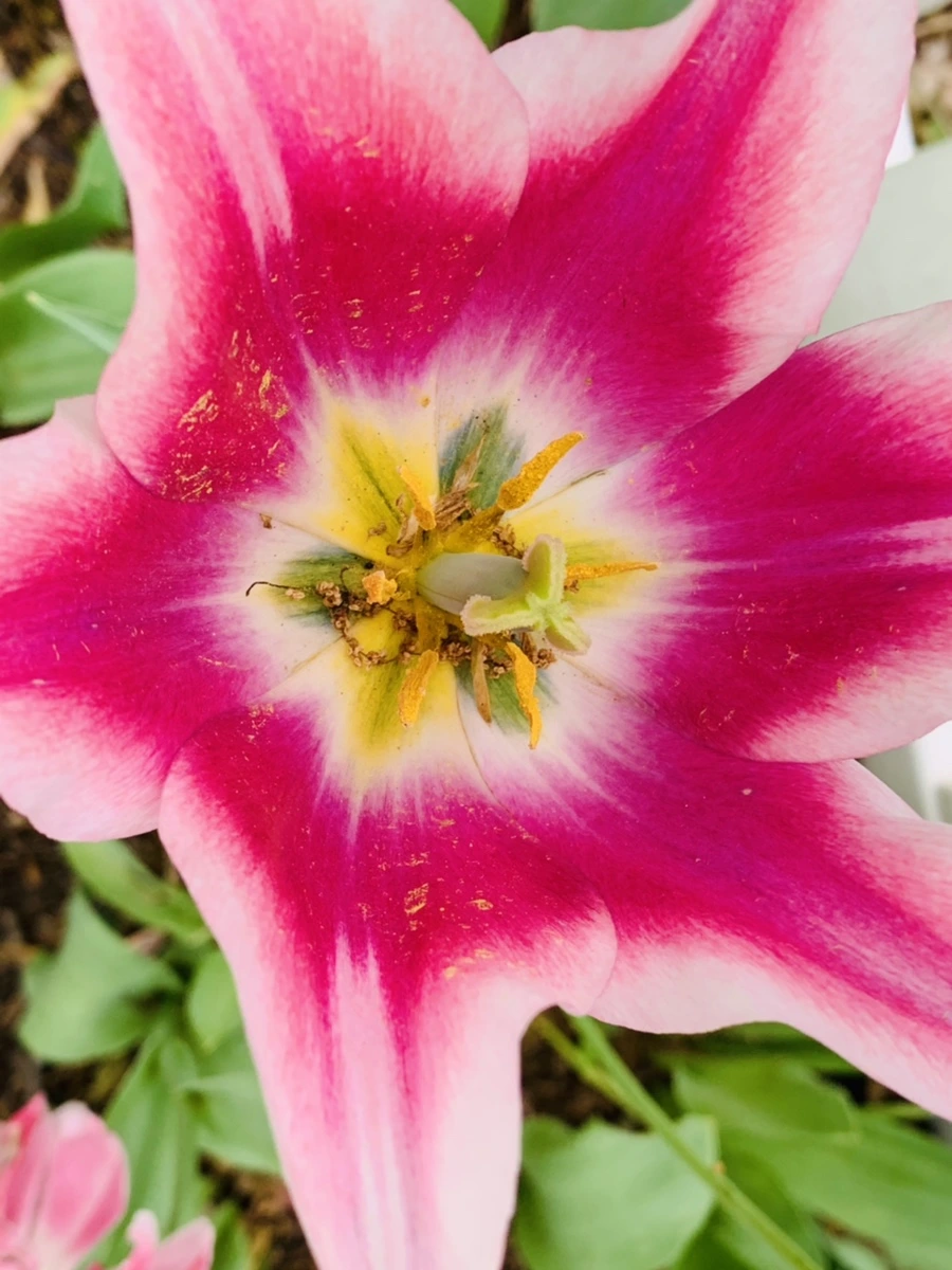 IMG_1305.jpg?type=w966