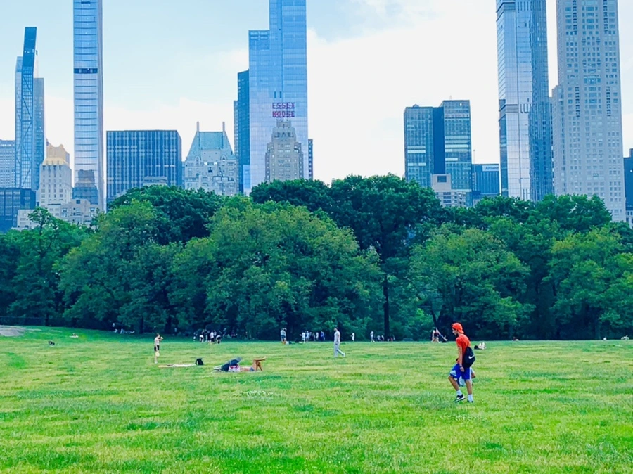 IMG_1659.jpg?type=w966