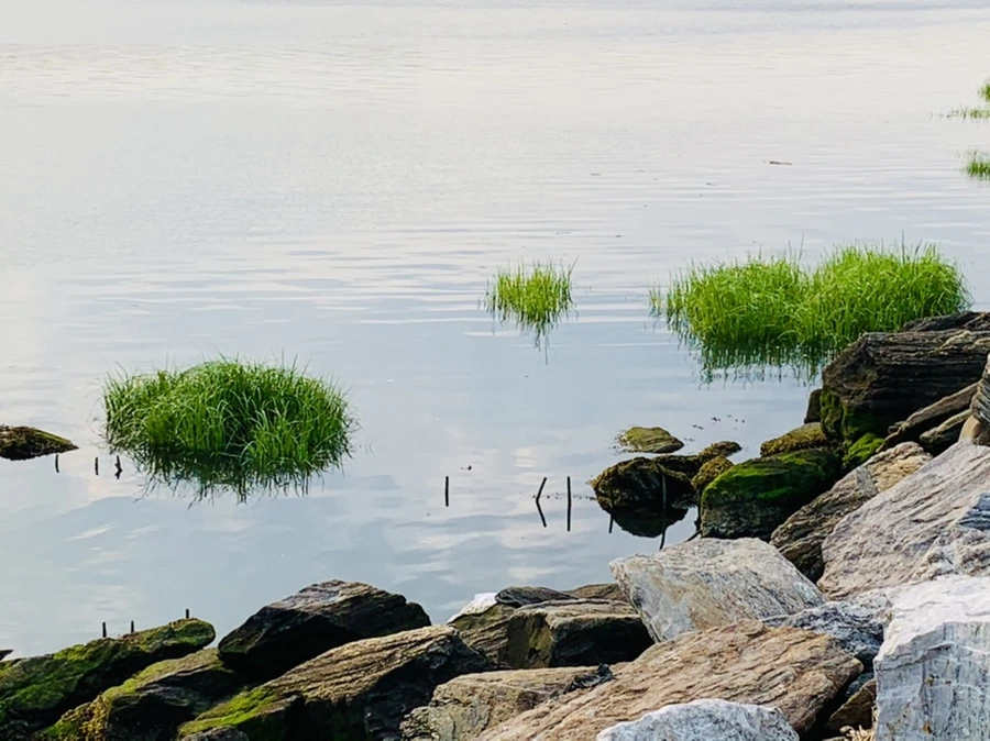 IMG_1601.jpg?type=w966