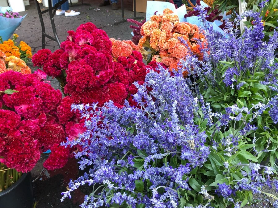 IMG_7056.jpg?type=w966