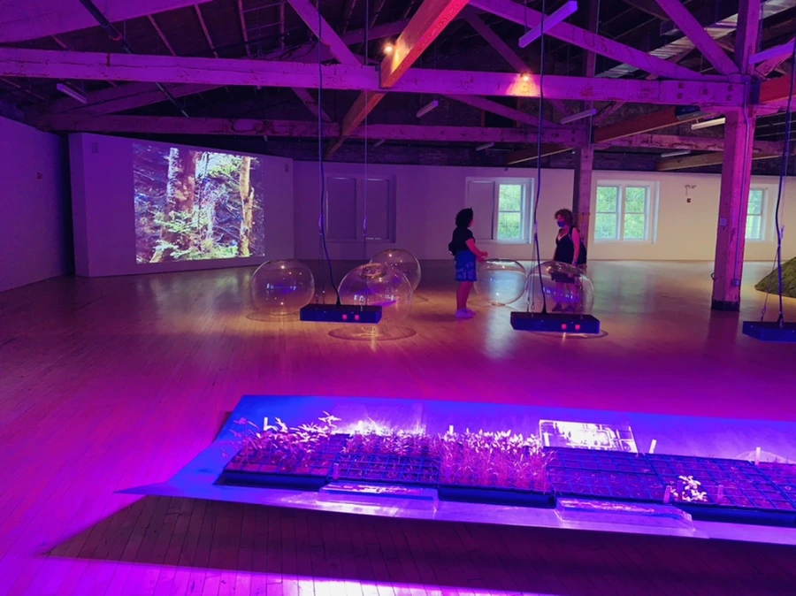 IMG_6784.jpg?type=w966