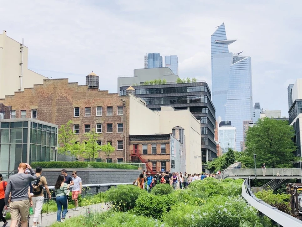 IMG_5565.jpg?type=w966