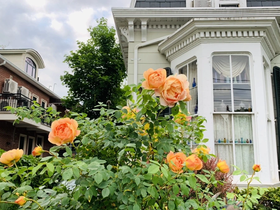 IMG_5291.jpg?type=w966