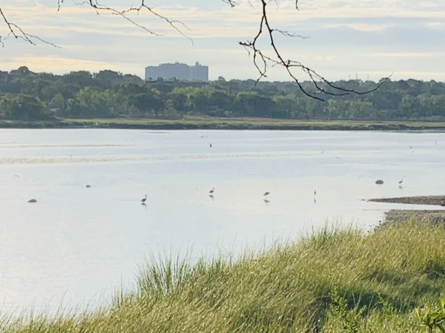 IMG_7789.jpg?type=w966