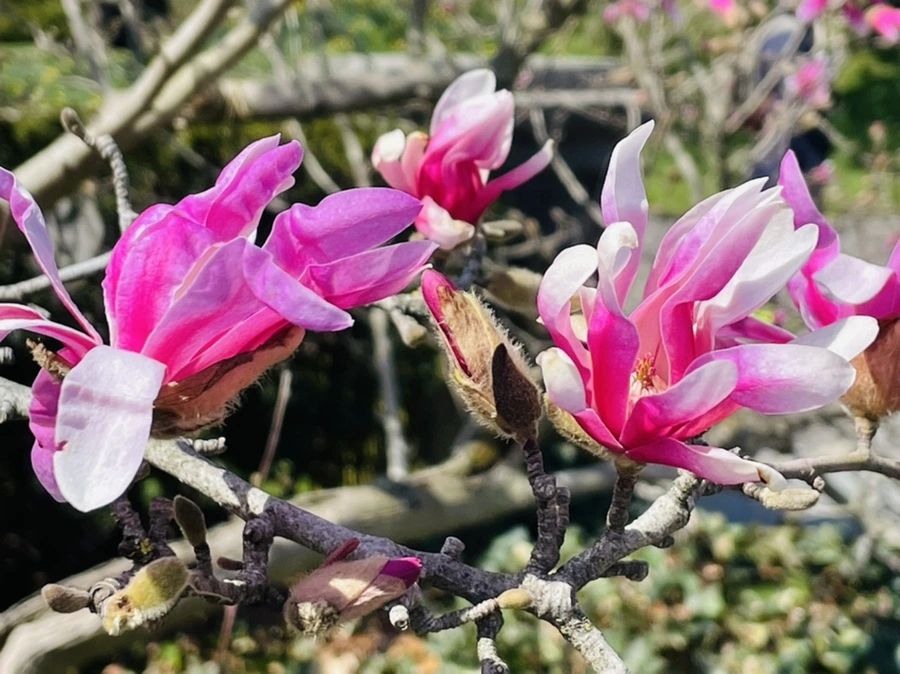 IMG_7090.jpg?type=w966