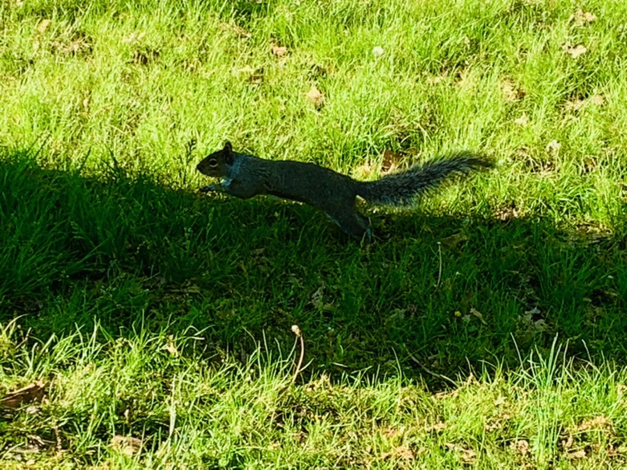 IMG_0610.jpg?type=w966