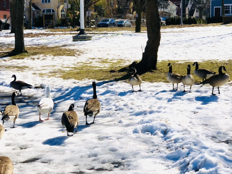 IMG_4889.jpg?type=w966