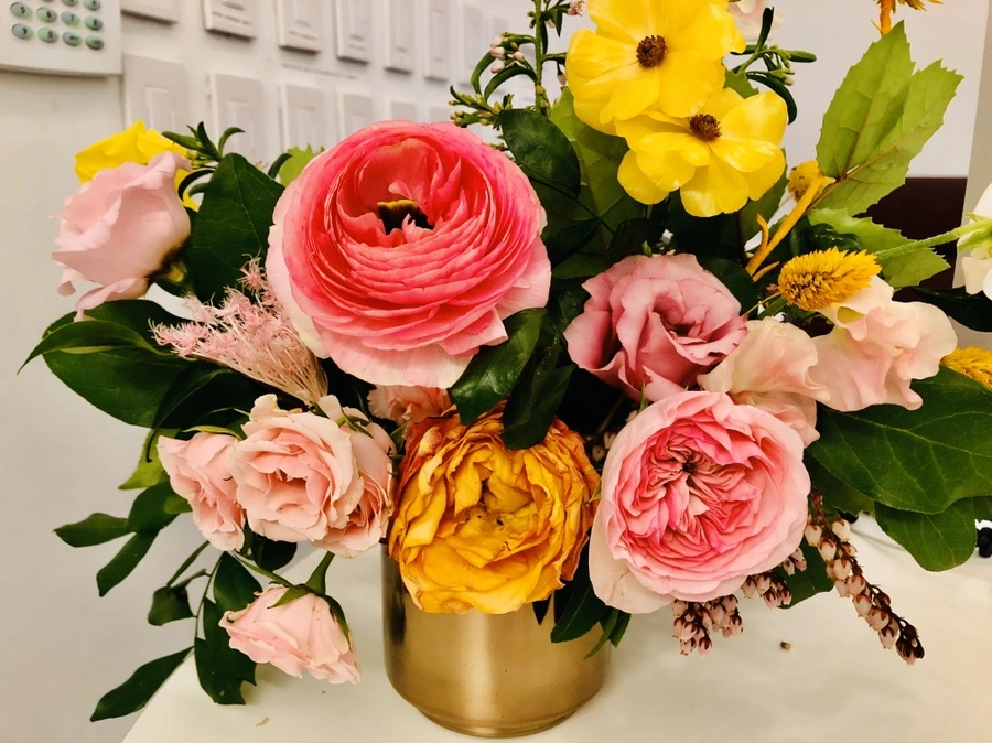 IMG_5883.jpg?type=w966