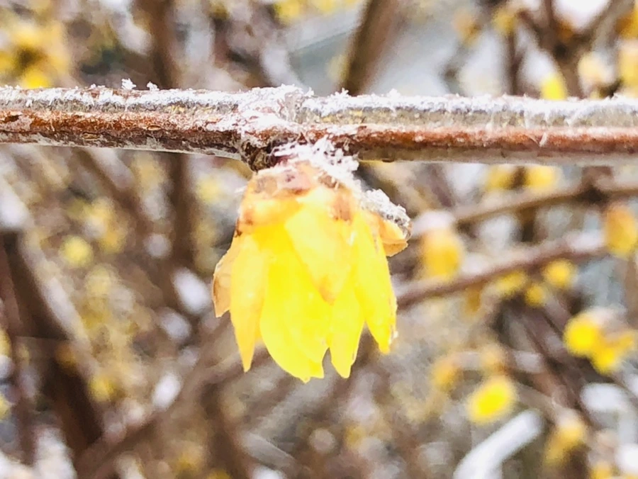 IMG_3510.jpg?type=w966