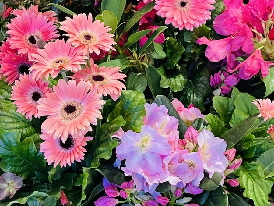 IMG_7638.jpg?type=w966