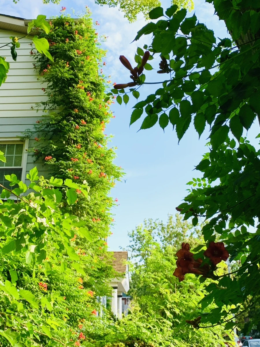 IMG_5841.jpg?type=w966