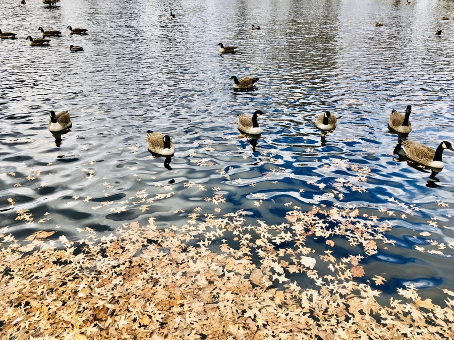 IMG_3216.jpg?type=w966