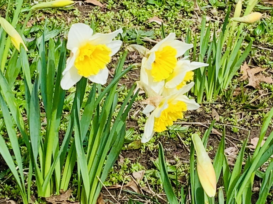 IMG_6369.jpg?type=w966