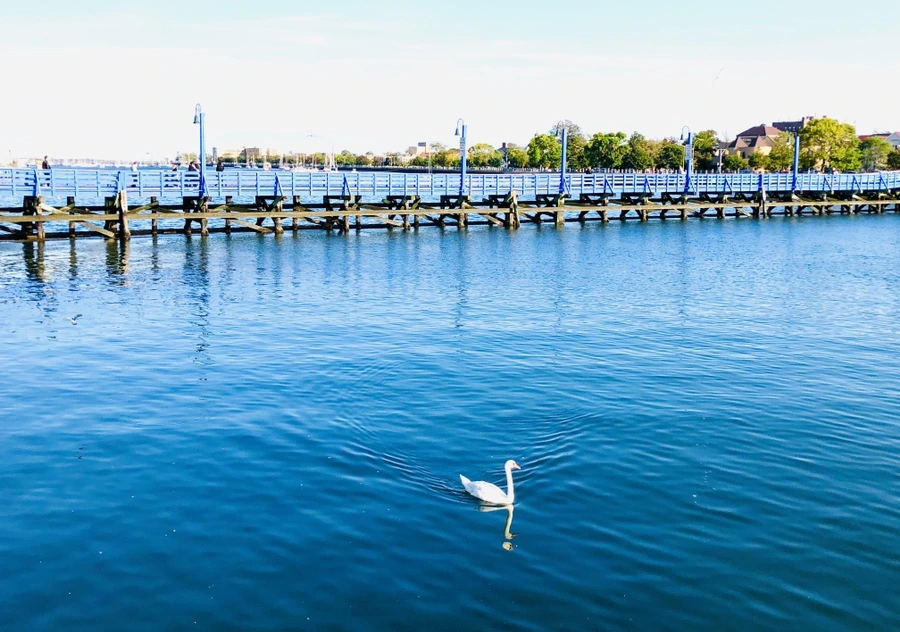 IMG_1398.jpg?type=w966