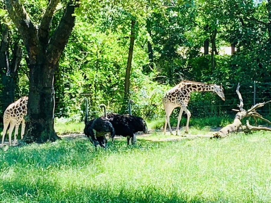 8gx74EvW_QOzX8fGlQspBiM3Huw