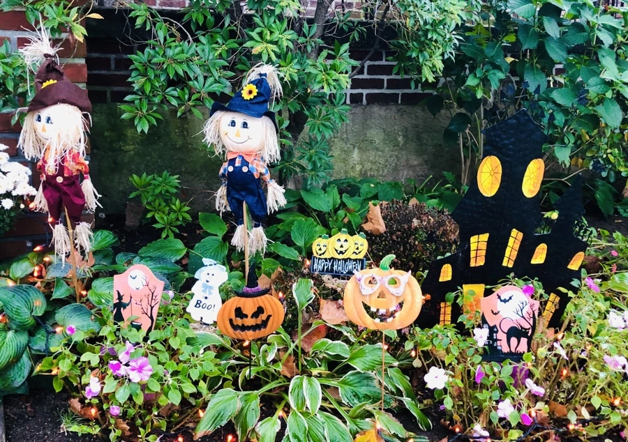 IMG_2970.jpg?type=w966