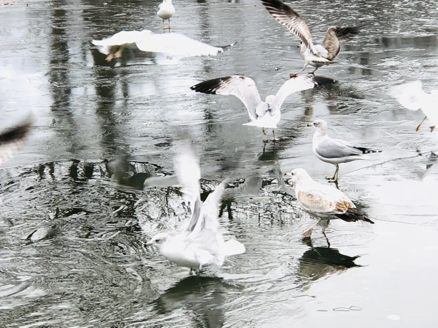 IMG_8908.jpg?type=w966