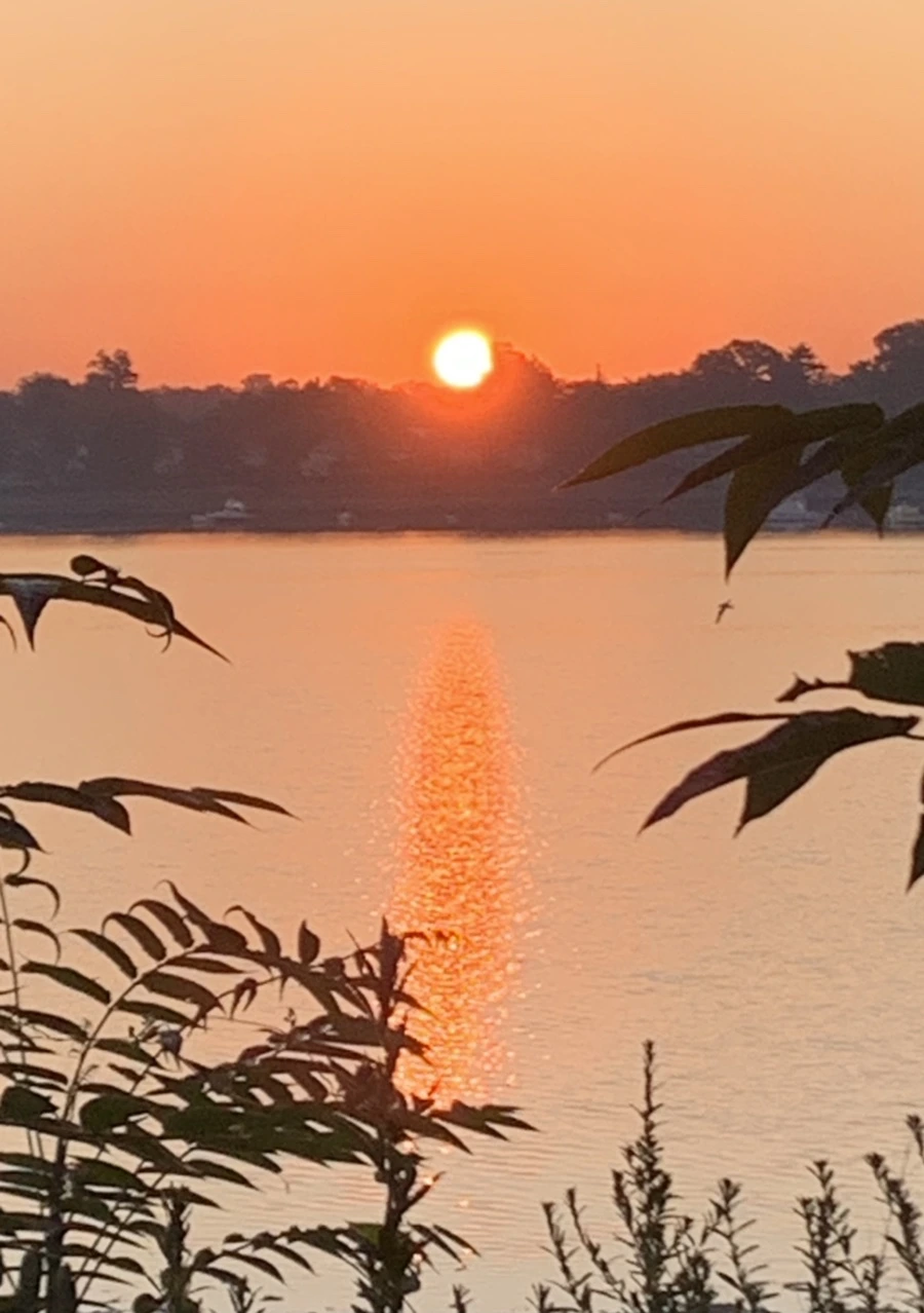 IMG_7187.jpg?type=w966