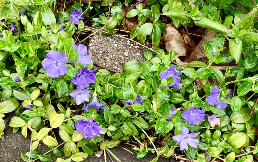 IMG_5345.jpg?type=w966