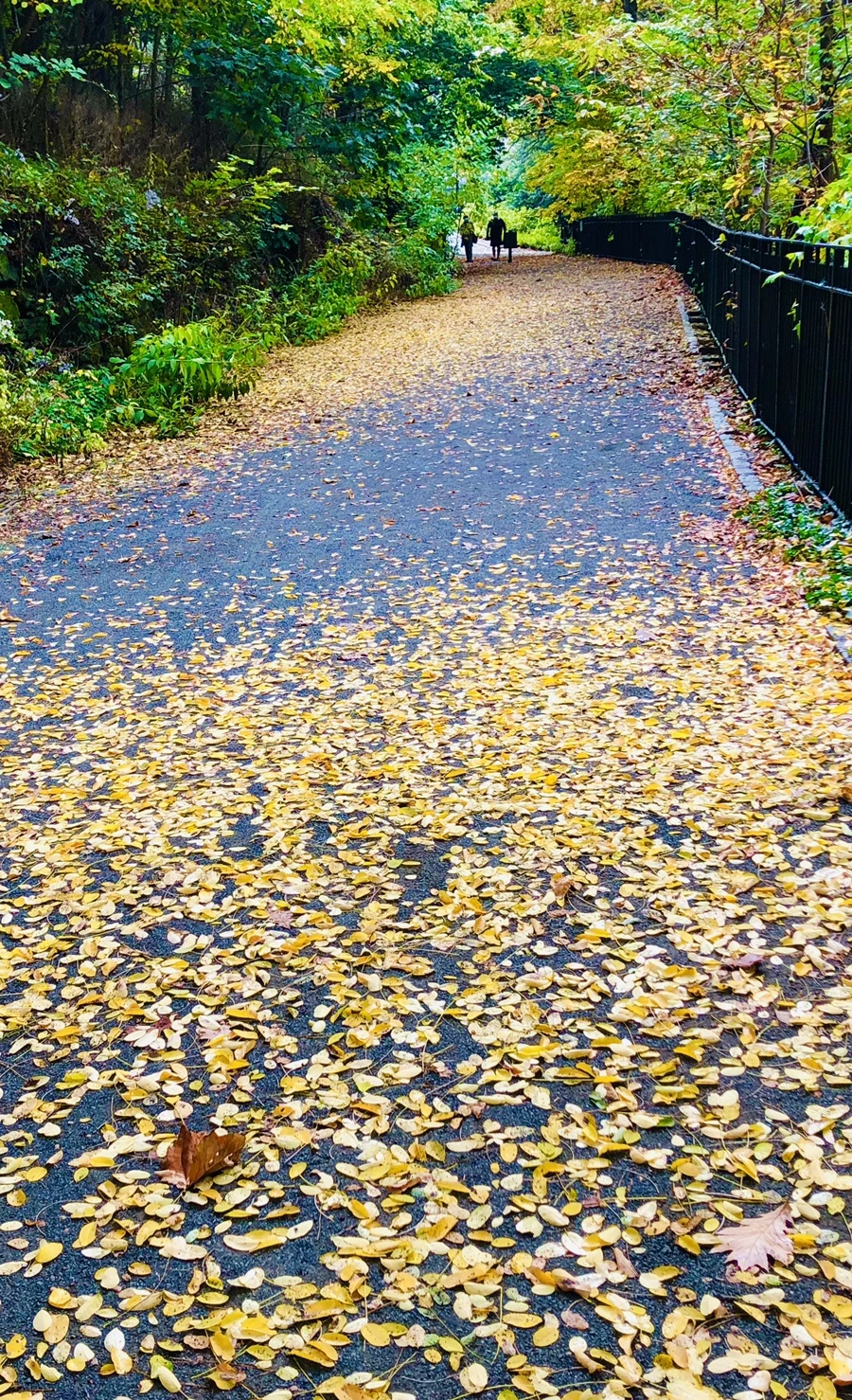 IMG_2281.jpg?type=w966