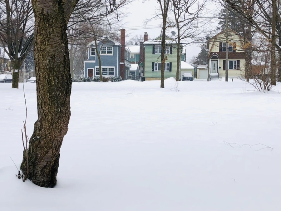 IMG_3387.jpg?type=w966