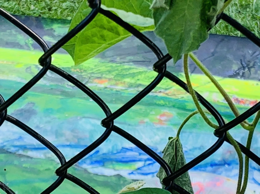 IMG_0620.jpg?type=w966