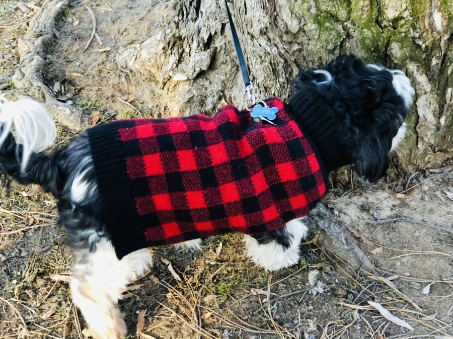 IMG_2282.jpg?type=w966