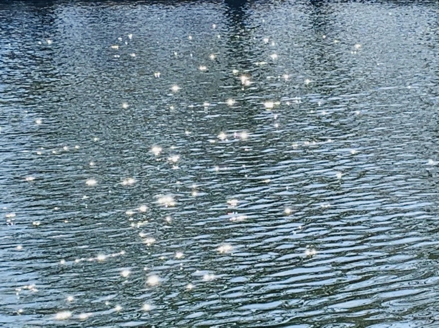 IMG_0069.jpg?type=w966