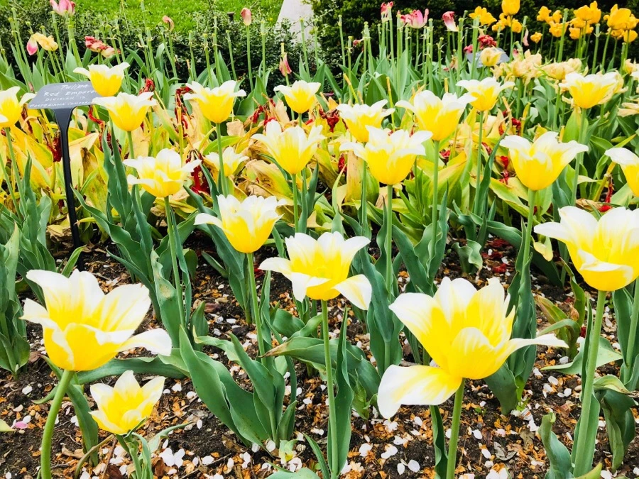 IMG_5489.jpg?type=w966