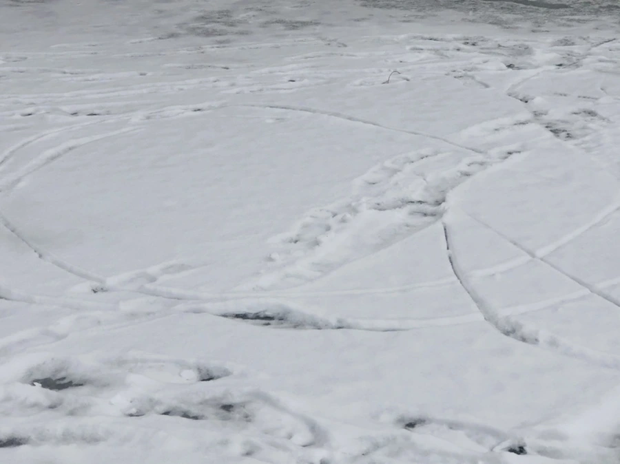 IMG_2503.jpg?type=w966