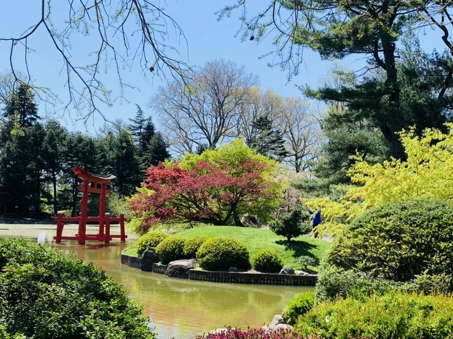 5kSBRv8ufon1ei1RZSLjJK_Pfto