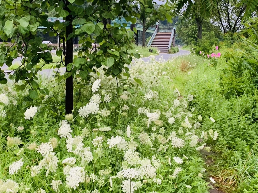 IMG_0776.jpg?type=w966