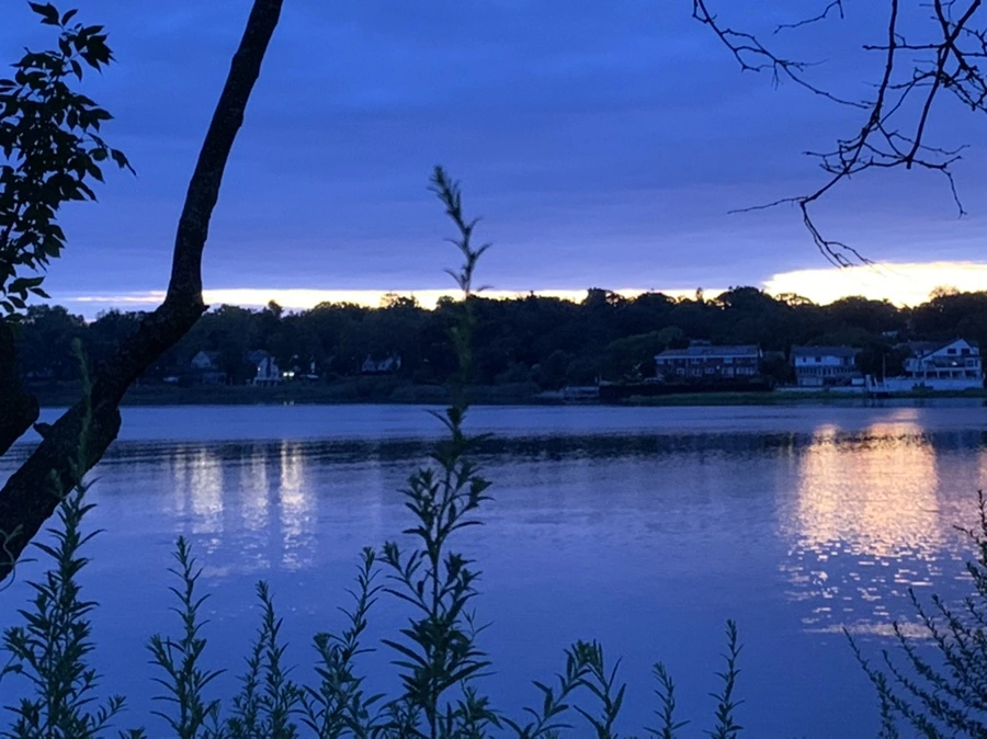 IMG_2251.jpg?type=w966