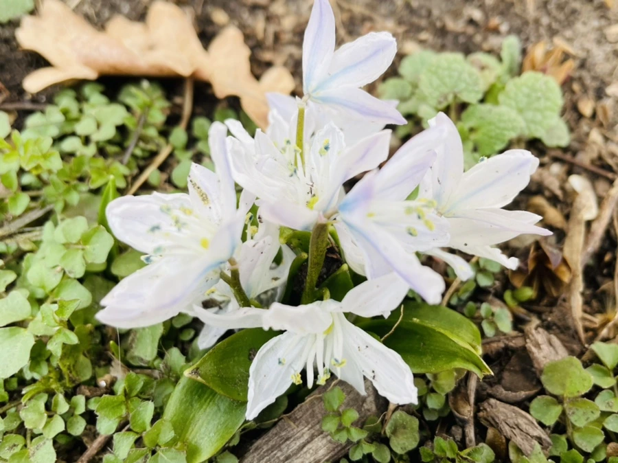 IMG_4162.jpg?type=w966