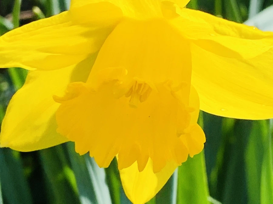 IMG_4331.jpg?type=w966