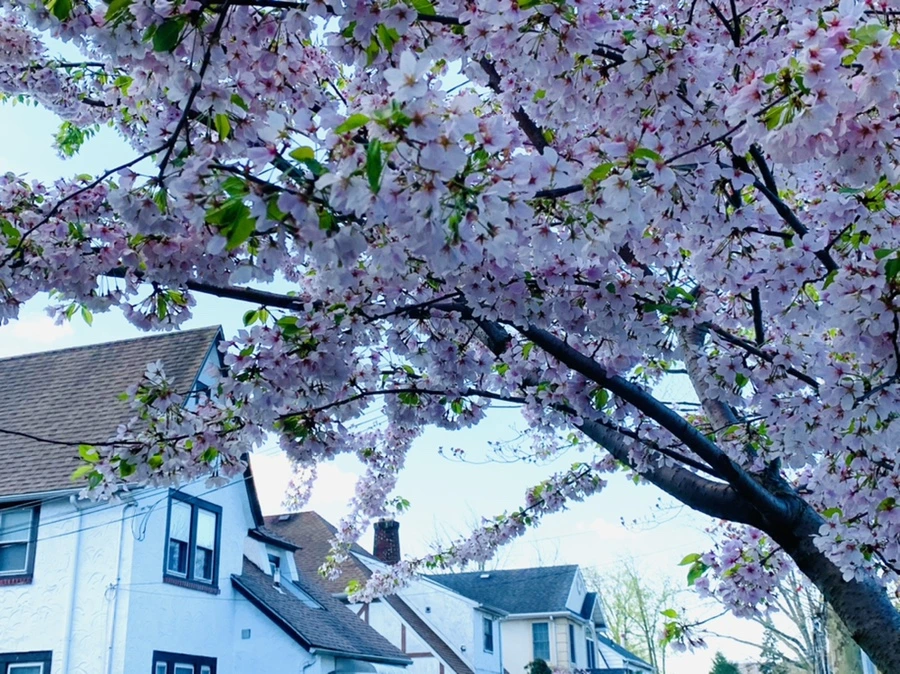 IMG_2641.jpg?type=w966