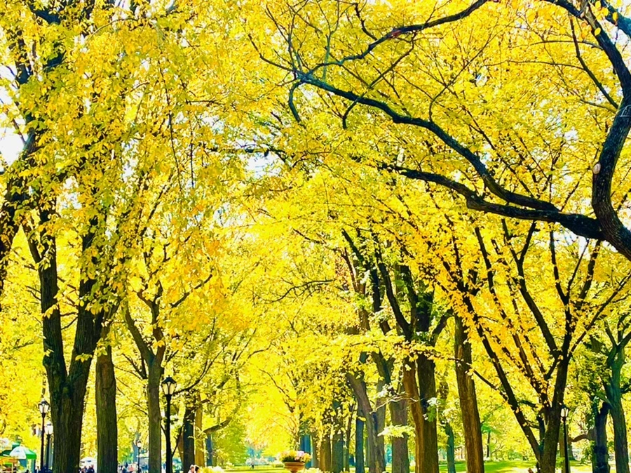 IMG_1614.jpg?type=w966