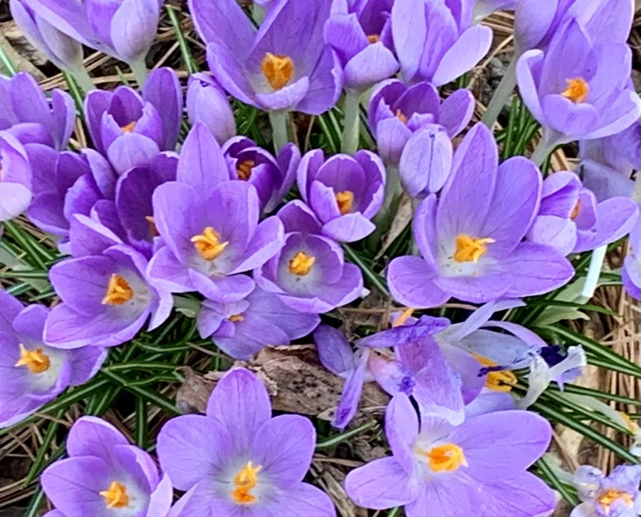 IMG_1256.jpg?type=w966