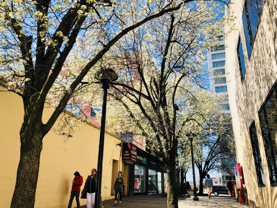 IMG_4597.jpg?type=w966