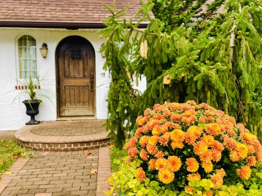 IMG_2461.jpg?type=w966